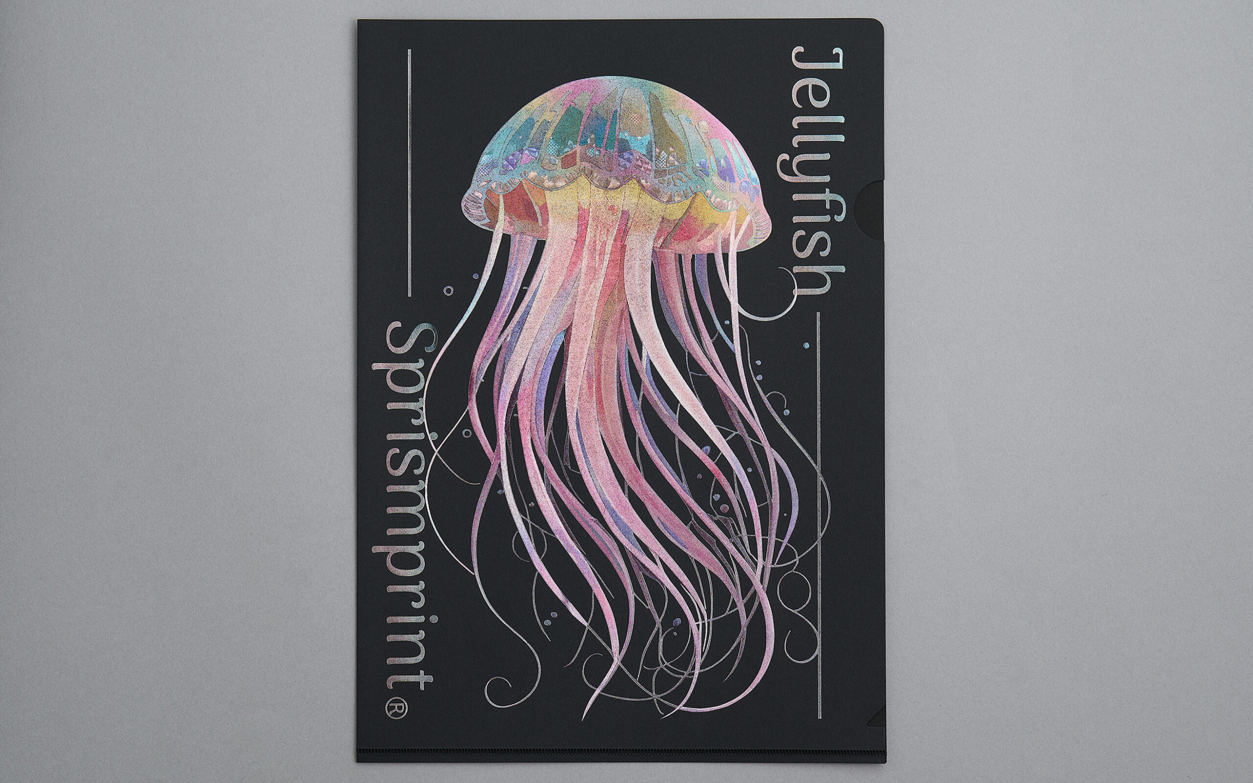jelly fish Sプリズムプリント®︎紙ファイル